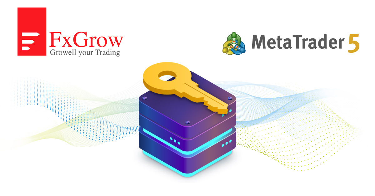 FxGrow Limited: “MetaTrader 5访问服务器主机服务拥有其他提供商无法比拟的优势”