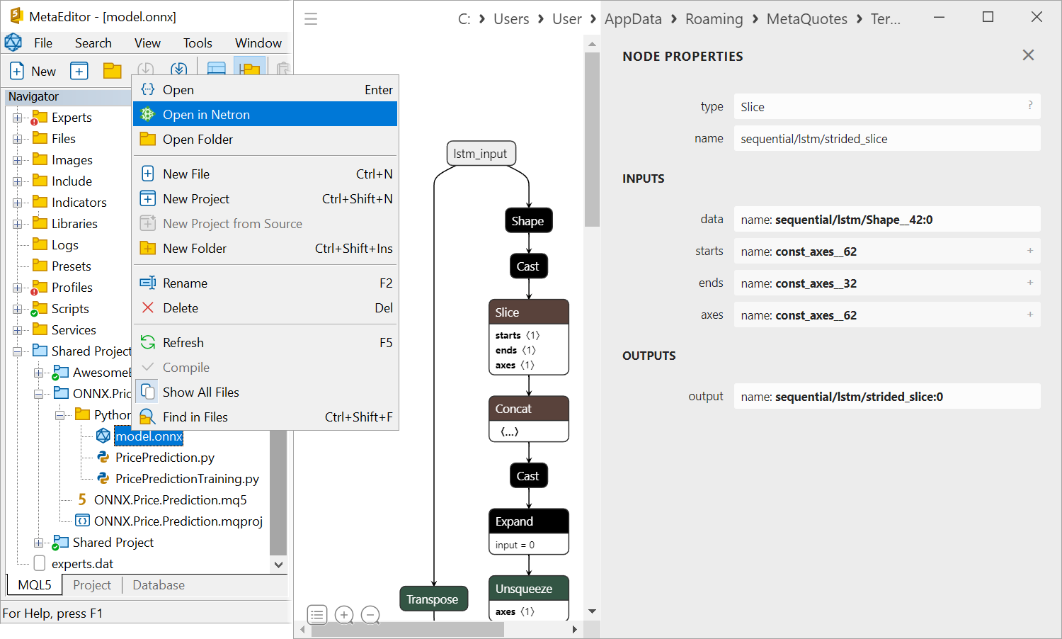 The ability to visualize ML models and neural networks using Netron