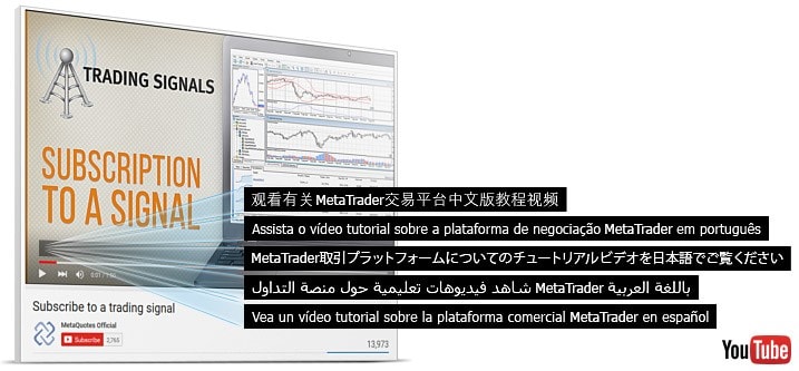 MetaQuotes视频教程现在共有7种字幕语言