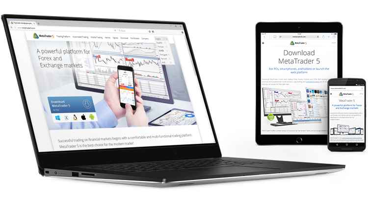 更新metatrader5.com网站：以7种语言修正MetaTrader 5的信息